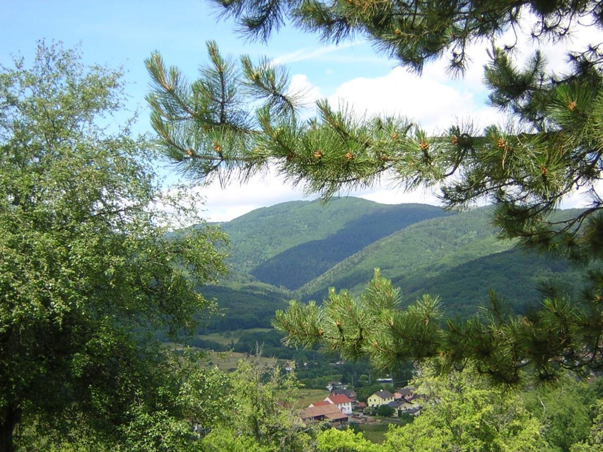 Gite Leonline Sur Les Hauteurs De Masevaux -Au Pied Des Vosges Exteriör bild