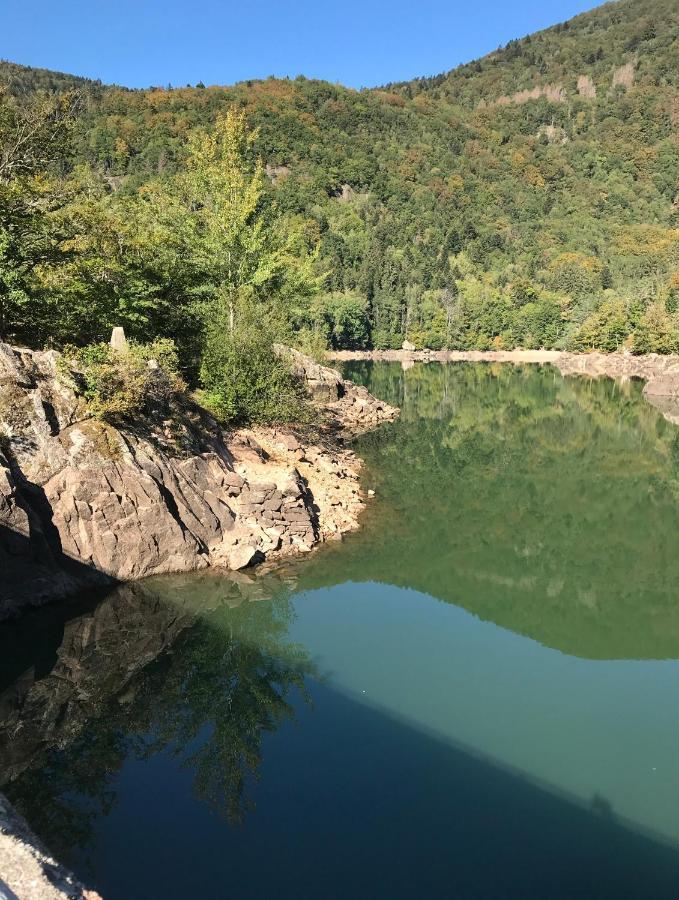 Gite Leonline Sur Les Hauteurs De Masevaux -Au Pied Des Vosges Exteriör bild