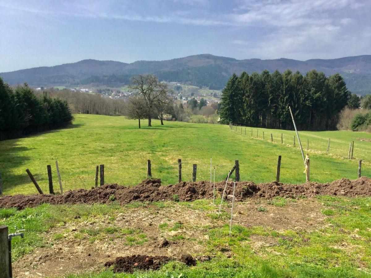 Gite Leonline Sur Les Hauteurs De Masevaux -Au Pied Des Vosges Exteriör bild