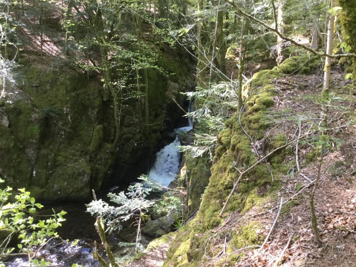 Gite Leonline Sur Les Hauteurs De Masevaux -Au Pied Des Vosges Exteriör bild