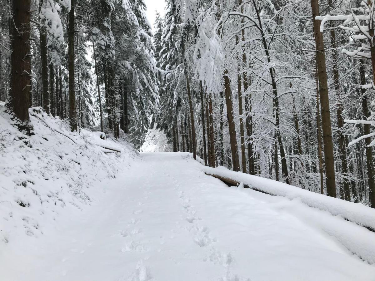 Gite Leonline Sur Les Hauteurs De Masevaux -Au Pied Des Vosges Exteriör bild
