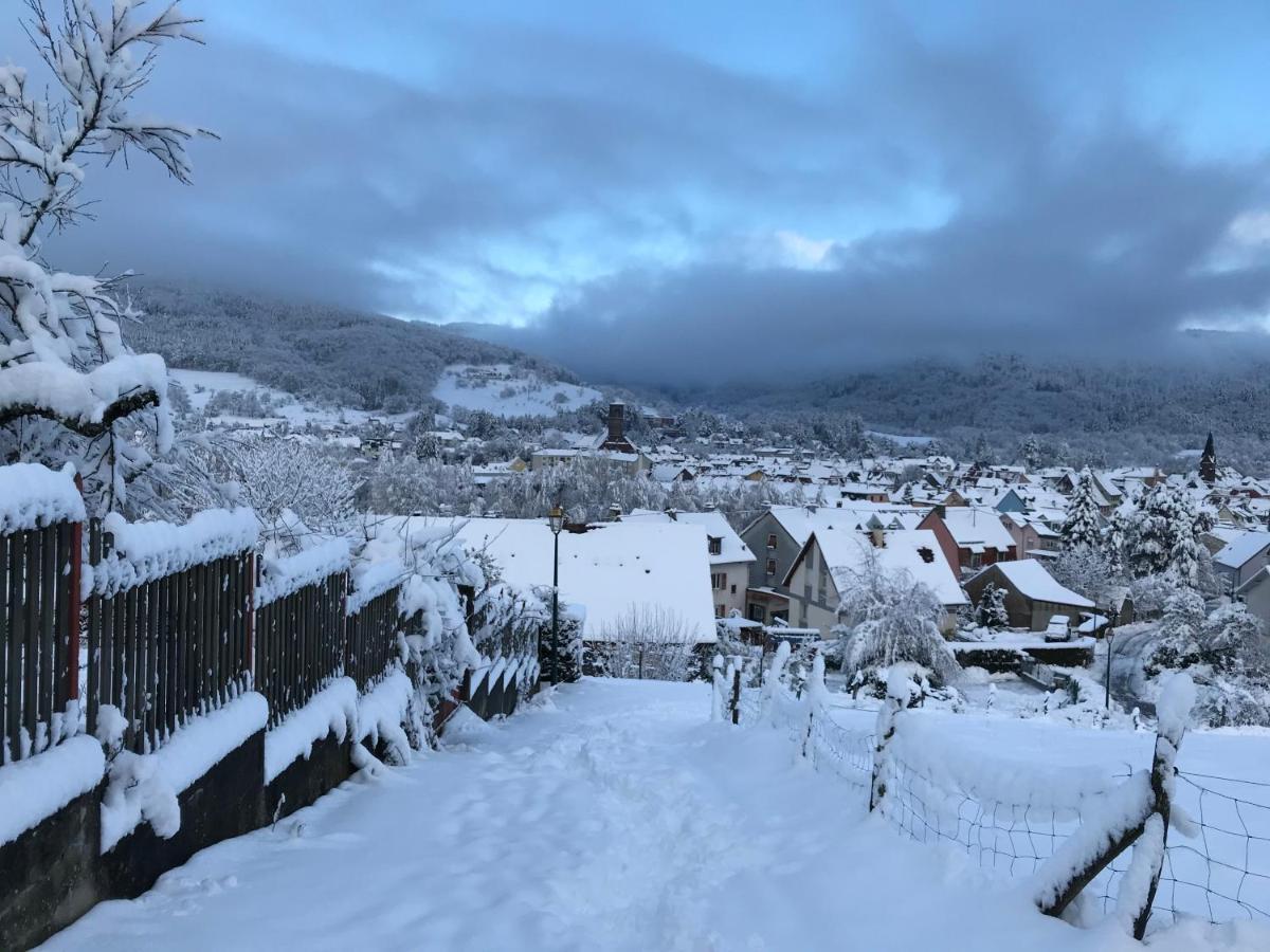 Gite Leonline Sur Les Hauteurs De Masevaux -Au Pied Des Vosges Exteriör bild