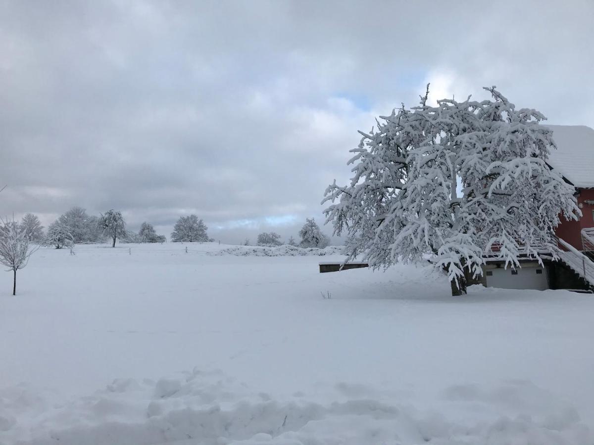 Gite Leonline Sur Les Hauteurs De Masevaux -Au Pied Des Vosges Exteriör bild