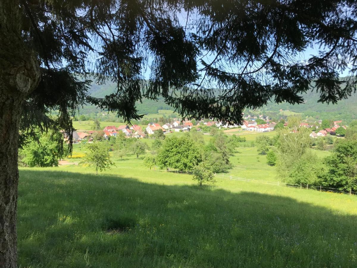 Gite Leonline Sur Les Hauteurs De Masevaux -Au Pied Des Vosges Exteriör bild
